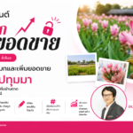 ปั้นคอนเทนต์ ปลดล็อกยอดขาย